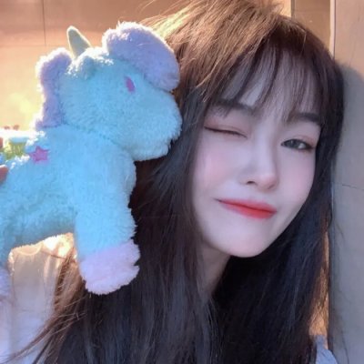 反叛的鲁路修剧场版1：兴道